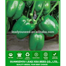 NSP02 Qingla Jade grüne Farbe Paprika Samen Hybrid Pfeffer Samen
